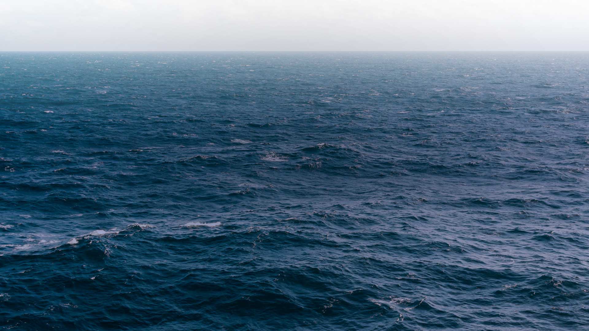 Association Des étoiles dans la mer